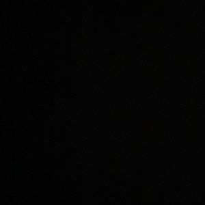 Meet your Posher, Trixie